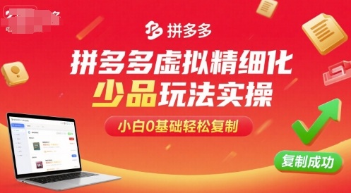 拼多多虚拟精细化少品玩法实操，小白0基础轻松复制_菜菜笔记