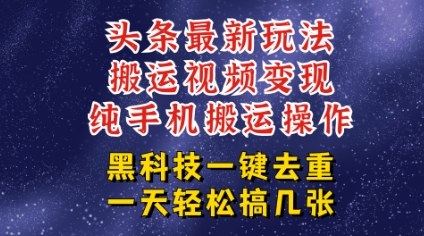 今日头条纯搬运玩法，轻松过原创不违规，轻松日入三位数，稳的很_菜菜笔记