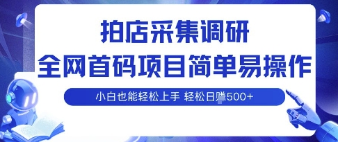 拍店采集调研，全网首码项目，简单易操作， 小白也能轻松上手，多账号操作，轻松日入5张【揭秘】_菜菜笔记