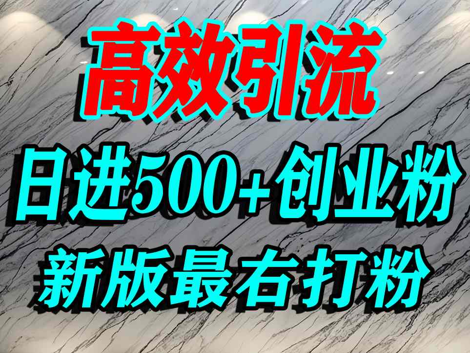 最右打创业粉，百分之九十九同行都不知道的空白蓝海，单人日引500+精准流量_菜菜笔记