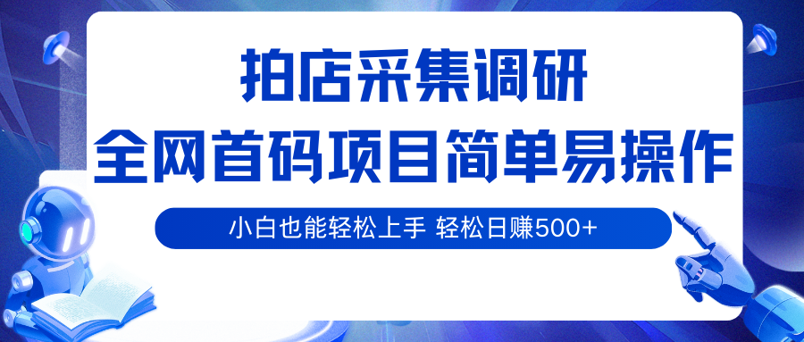 拍店采集调研，全网首码项目，简单易操作， 小白也能轻松上手，轻松日赚500+_菜菜笔记