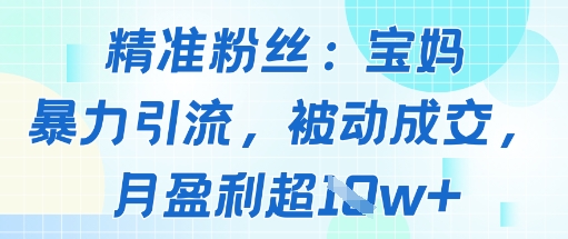 精准粉丝：宝妈暴力引流方法，被动成交，月盈利超1w+_菜菜笔记