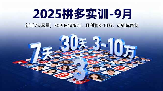 （16008期）2025拼多多实训-9月：新手7天起量,30天日销破万,月利润3-10万,可矩阵复制_菜菜笔记