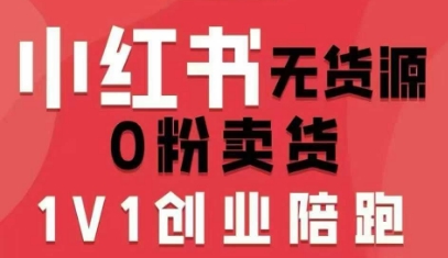 小红书无货源0粉电商课，开店准备、选品策略、笔记撰写、视频剪辑、数据分析、账号打造、资料文档_菜菜笔记