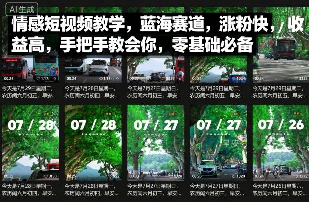 情感短视频教学，蓝海赛道，涨粉快，收益高，手把手教会你，零基础必备_菜菜笔记