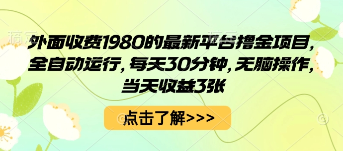 外面收费1980的最新平台撸金项目，全自动运行，每天30分钟，无脑操作，当天收益3张【揭秘】_菜菜笔记