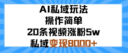 AI私域玩法，操作简单，20条视频涨粉5w，私域变现8k+_菜菜笔记
