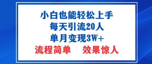 小白也能轻松上手的宝妈项目，每天引流20人，单月变现3W+，流程简单，效果惊人_菜菜笔记