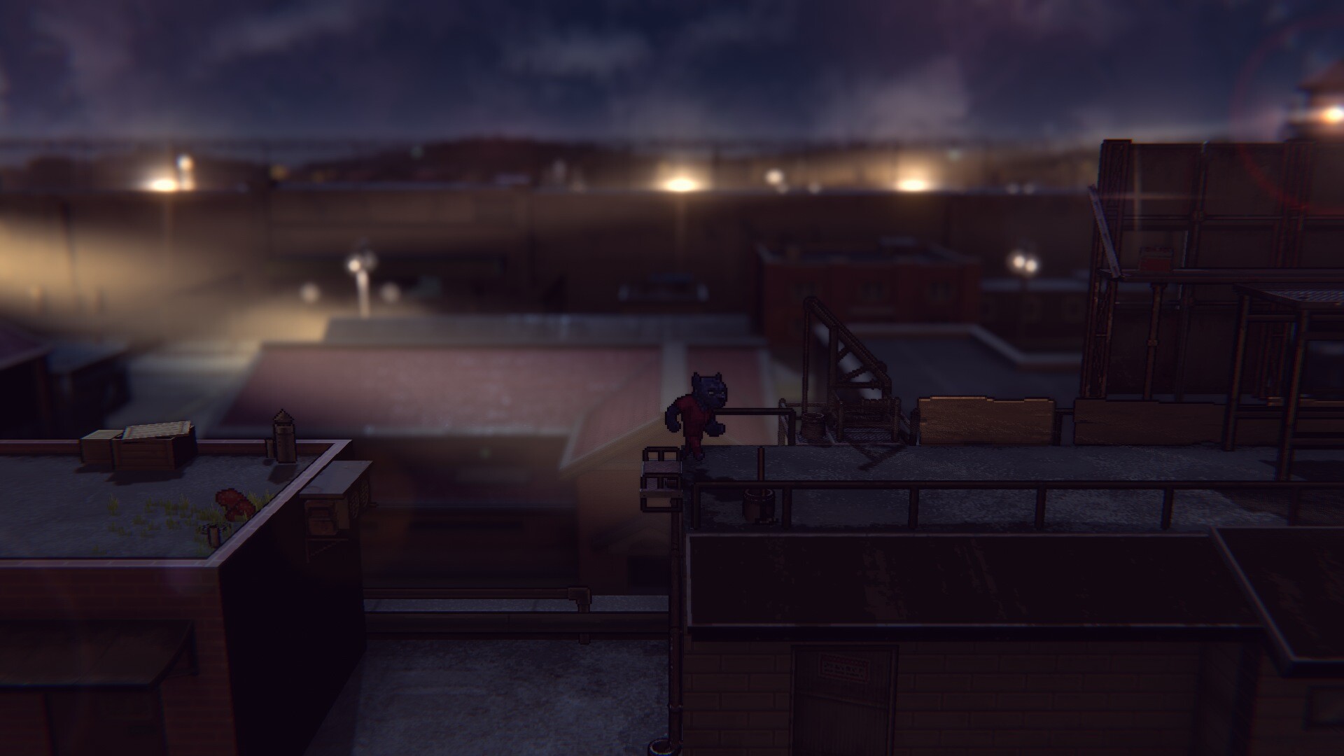 动物迷城/Back to the Dawn_菜菜笔记