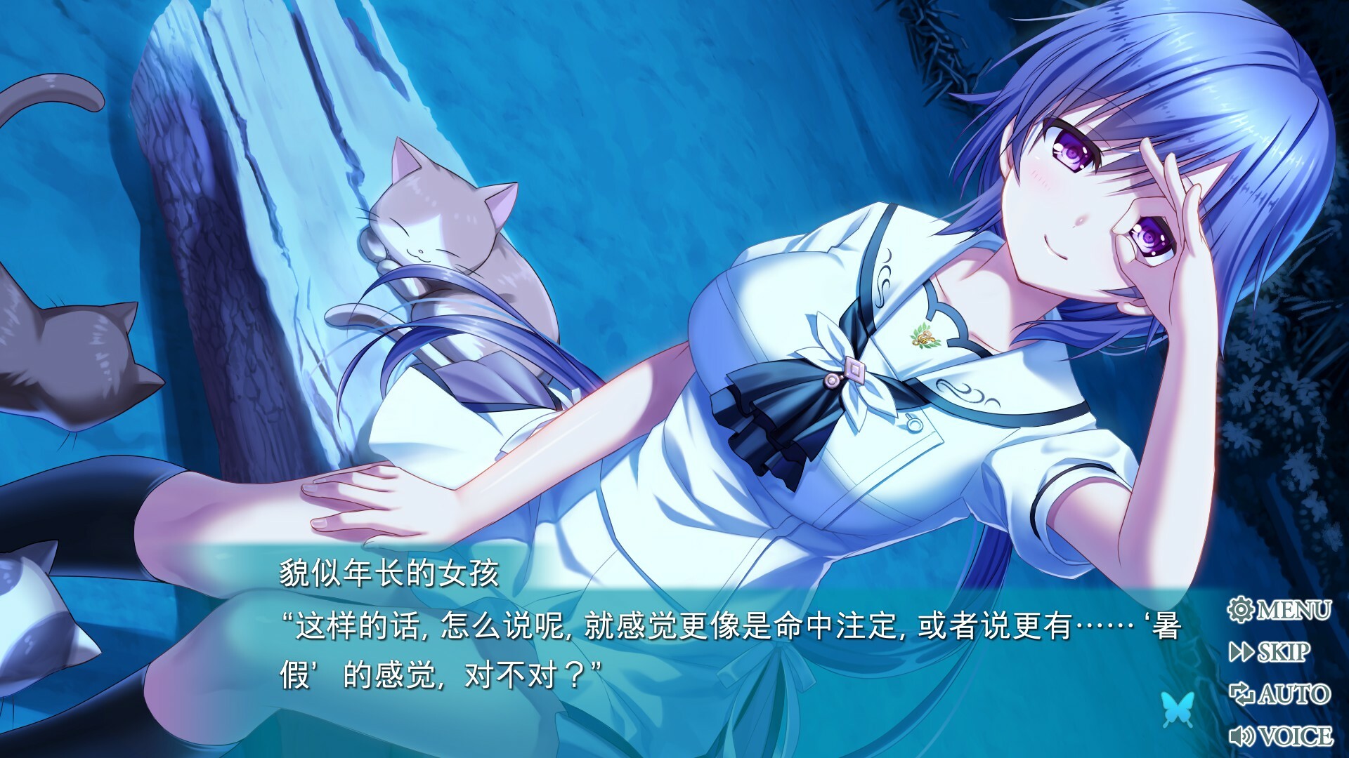 夏日口袋：流光蓝/Summer Pockets REFLECTION BLUE_菜菜笔记