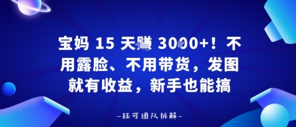 宝妈15天賺3k+！不用露脸、不用带货，发图就有收益，新手也能搞_菜菜笔记