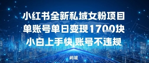 小红书全新私域女粉项目单账号单日变现多张，小白上手快账号不违规建议准备多账号操作_菜菜笔记
