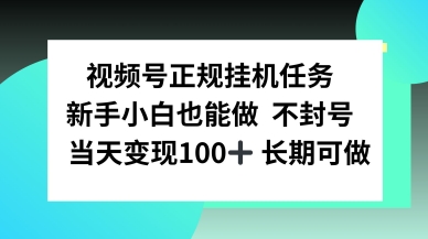 视频号正规挂播任务，有手就行不违规，轻松日入1张_菜菜笔记