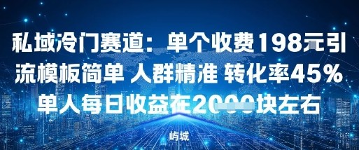 私域冷门赛道：单个收费198米引流模板简单人群精准转化率45%单人每日收益在1k+_菜菜笔记