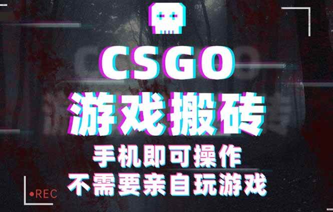 （16090期）CSGO游戏挂机捡漏，单日扫货500+，年底小高峰上车可吃肉，手机即可操作…_菜菜笔记
