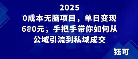 0成本无脑项目，单日变现多张，手把手带你如何从公域引流到私域成交_菜菜笔记