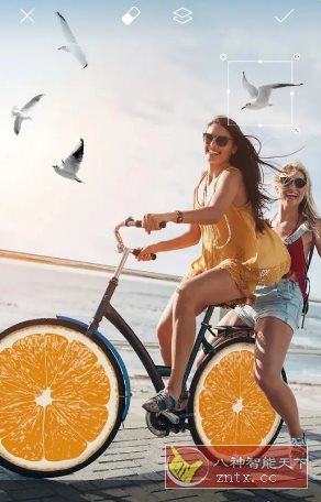 Picsart美易 v28.4.5 高级版_菜菜笔记