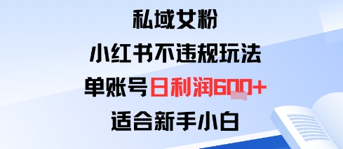 私域女粉：小红书平台不违规玩法单账号日利润6张+适合新手小白_菜菜笔记