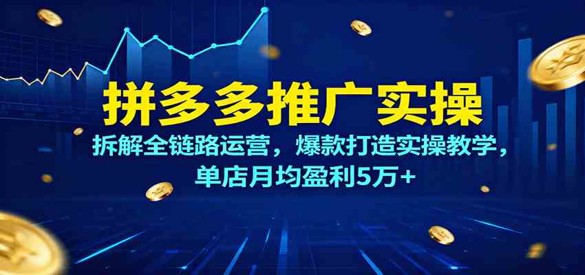 拼多多推广实操，拆解全链路运营，爆款打造实操教学，单店月均盈利5万+_菜菜笔记