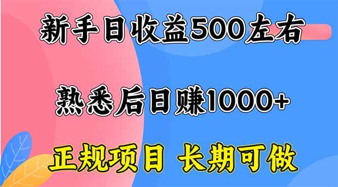 （16132期）新手日收益500+ 正规项目 长期可做_菜菜笔记