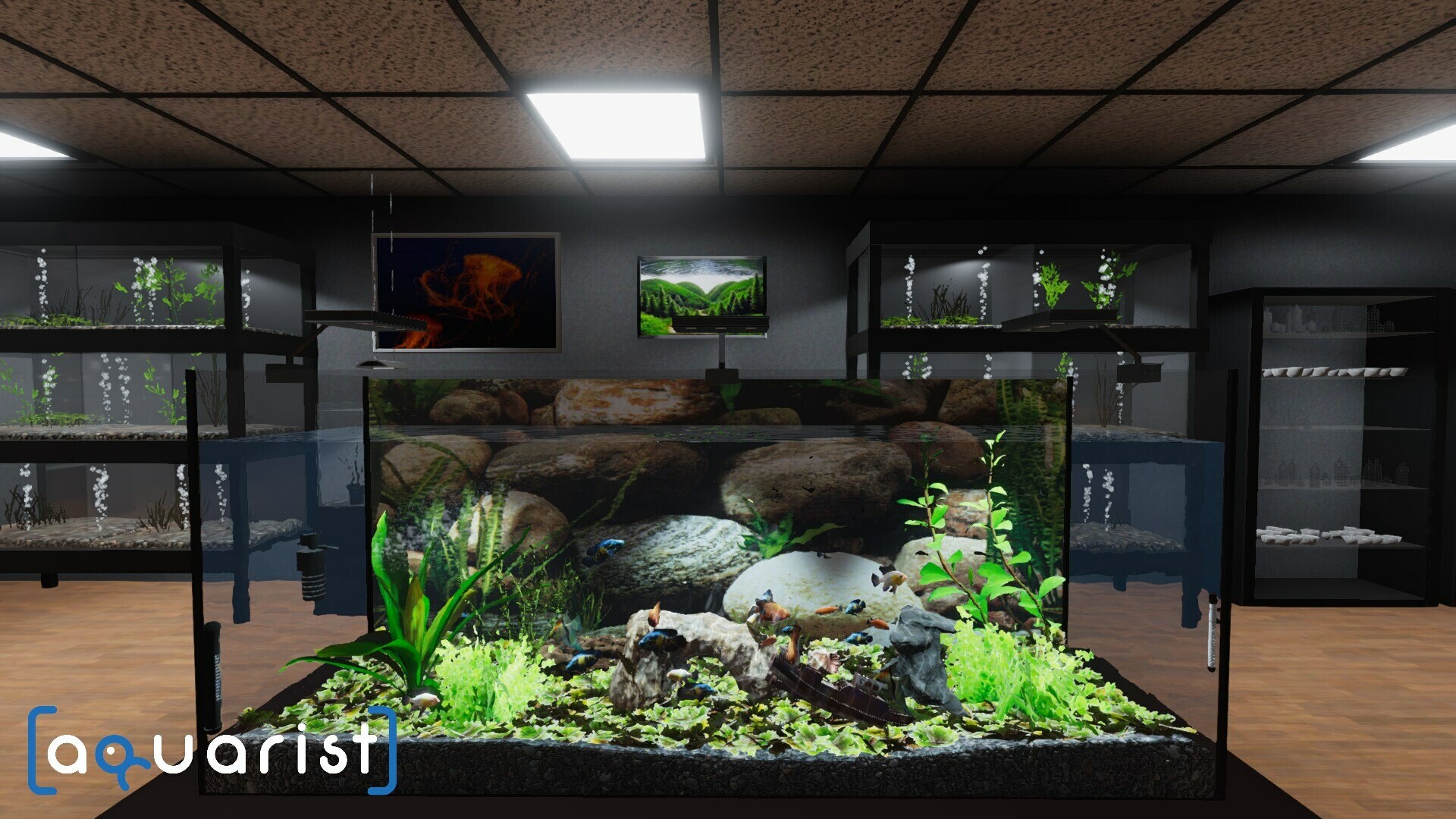 Aquarist – 建造水族馆,养鱼,发展你的事业!_菜菜笔记