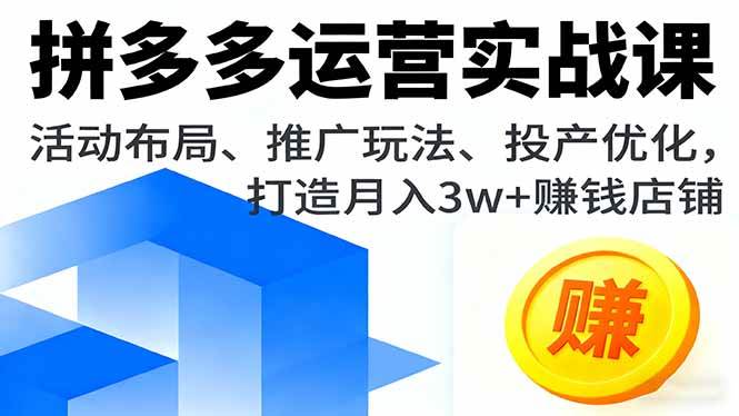 （16135期）拼多多运营实战课，活动布局、推广玩法、投产优化，打造月入3w+赚钱店铺_菜菜笔记