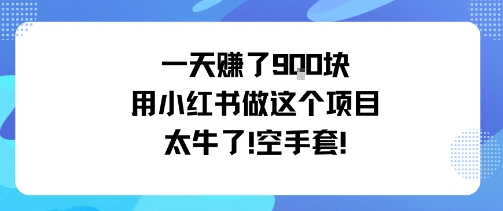一天挣了9张用小红书做这个项目太牛了，空手套_菜菜笔记
