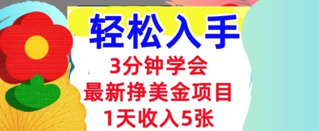 最新挣美金项目，日入5张，3分钟学会，小白轻松入手（长久的被动收入）_菜菜笔记