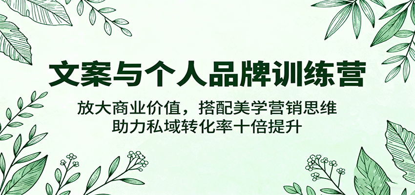 文案与个人品牌训练营，放大商业价值，搭配美学营销思维，助力私域转化率十倍提升_菜菜笔记