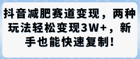 抖音减肥赛道变现，两种玩法轻松变现3W+，新手也能快速复制_菜菜笔记