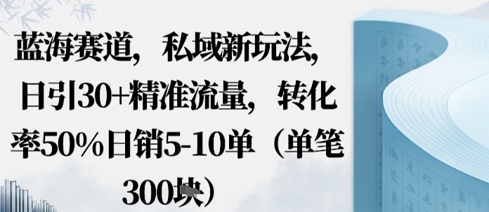 蓝海赛道，私域新玩法，日引30+精准流量，转化率50%日销5-10单（单笔3张）_菜菜笔记