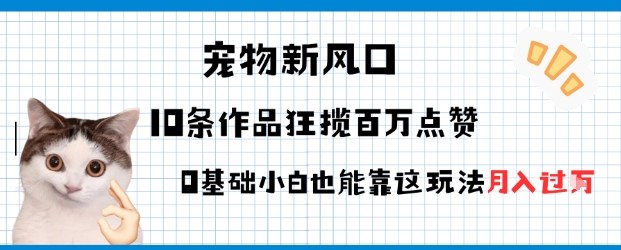 宠物粉暴利新风口0基础小白也能靠这套玩法月入过W_菜菜笔记