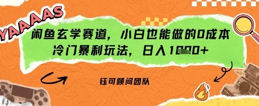 闲鱼玄学赛道，小白也能做的0成本冷门暴利玩法，日入多张_菜菜笔记