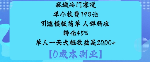 私域冷门赛道:单个收费198米引流模板简单人群精准转化45%单人一天大概收益是1k+_菜菜笔记