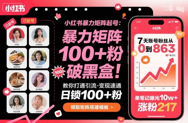 小红书暴力矩阵起号，教你打通引流-变现速通，日锁100+粉，破流量黑盒_菜菜笔记