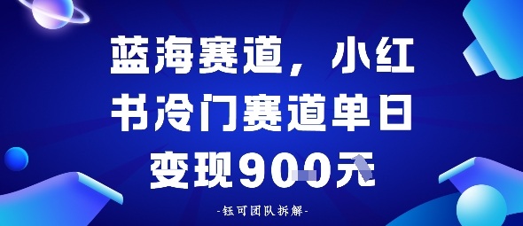 小红书冷门蓝海赛道，0成本，单日变现多张_菜菜笔记