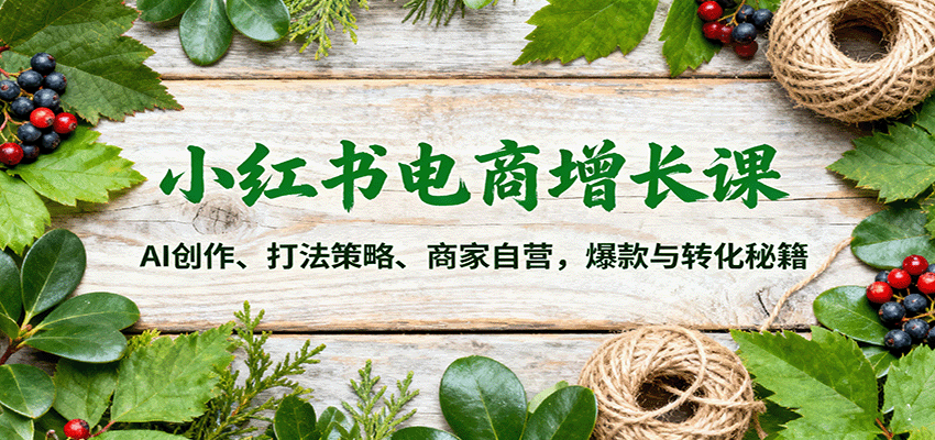 小红书电商增长课：AI创作、打法策略、商家自营，爆款与转化秘籍_菜菜笔记