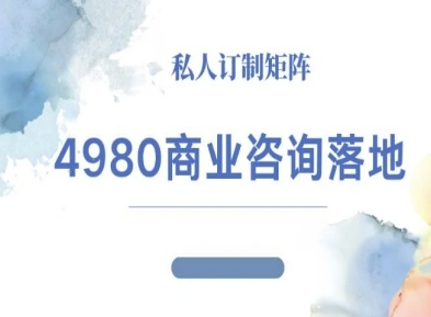 4980商业咨询师落地课程-ip运营高客单教程_菜菜笔记