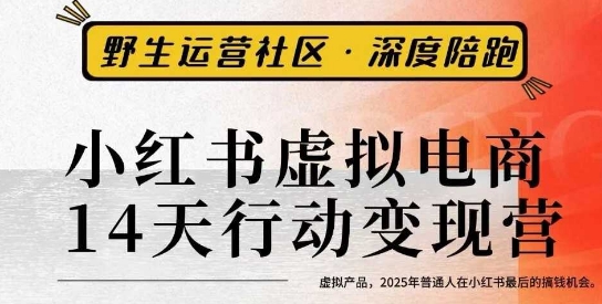 小红书虚拟电商14天变现训练营3.0，虚拟产品，2025年普通人在小红书最后的搞钱机会_菜菜笔记