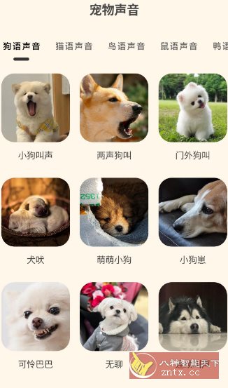 哆啦猫狗翻译器1.2.6高级版_菜菜笔记