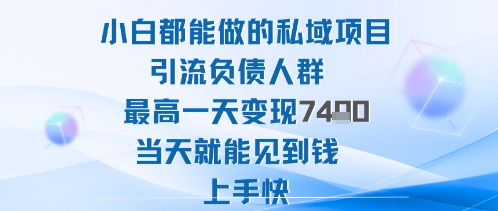 2025年小白都能做的私域项目引流负债人群最高一天变现1k+高变现难度低当天就能见到钱上手快_菜菜笔记