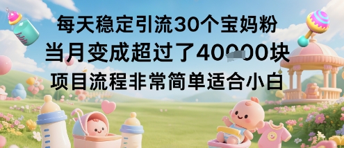 每天稳定引流30个宝妈粉当月变成超过了1W+项目流程非常简单适合小白_菜菜笔记