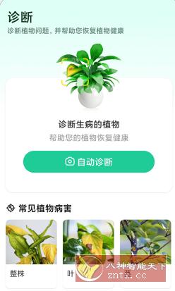 Plant Parent 植物养护v1.101高级版_菜菜笔记