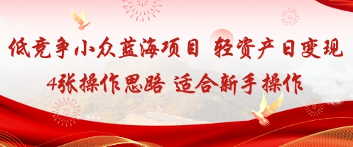 低竞争小众蓝海项目，轻资产日变现4张的操作思路适合新手操作_菜菜笔记