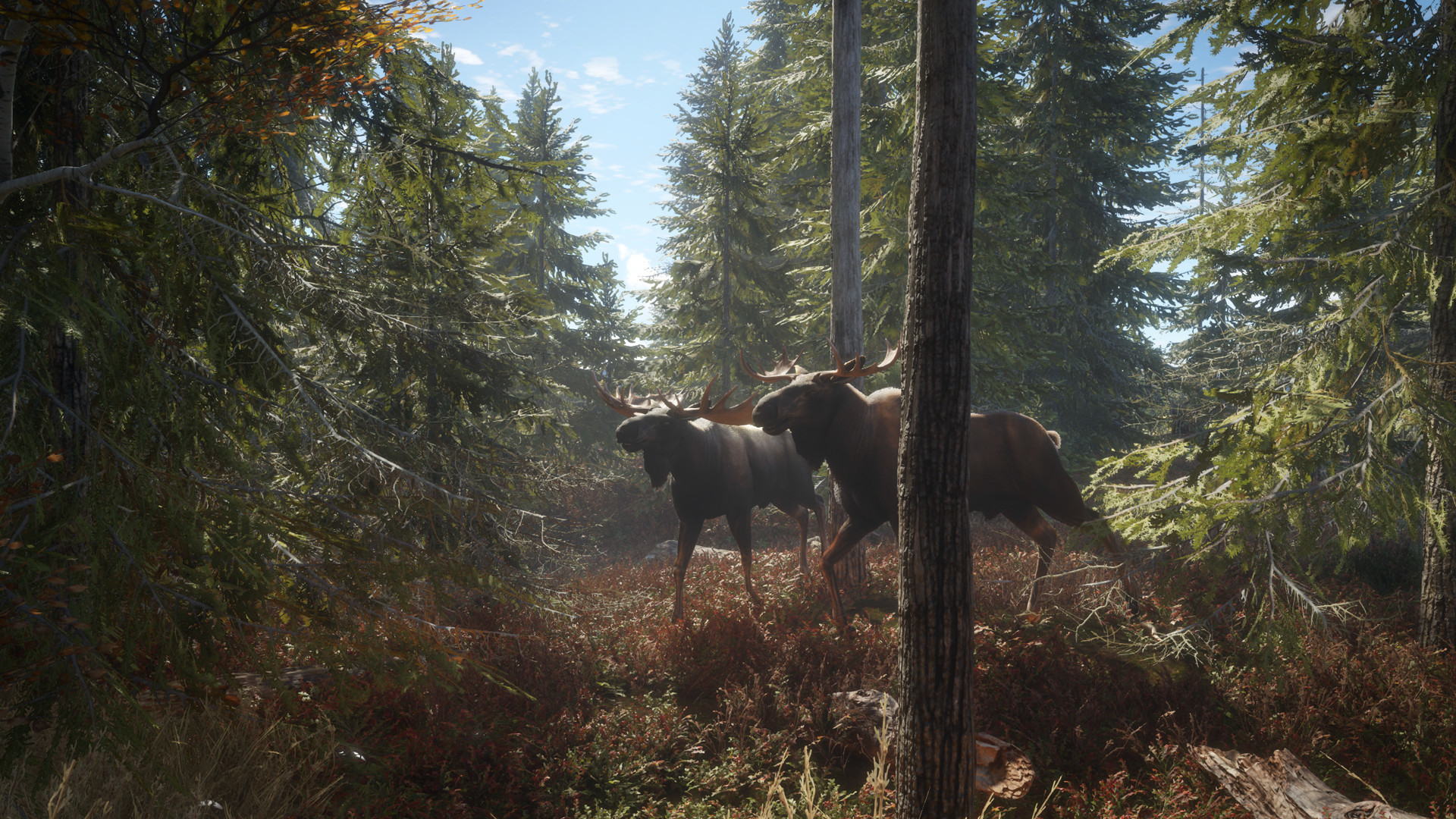 猎人:荒野的召唤/theHunter: Call of the Wild_菜菜笔记