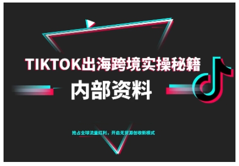 TikTok跨境电商0-1搭建运营，TK出海跨境实操秘籍（10月更新）_菜菜笔记