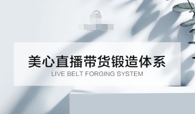 直播带货锻造体系课，5G时代美心一站式帮你开启直播带货之路【音频】_菜菜笔记