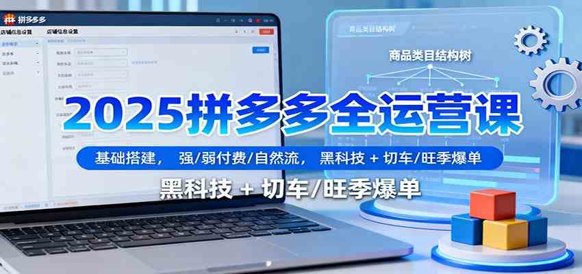 2025拼多多全运营课：基础搭建，强/弱付费/自然流，黑科技 + 切车/旺季爆单_菜菜笔记