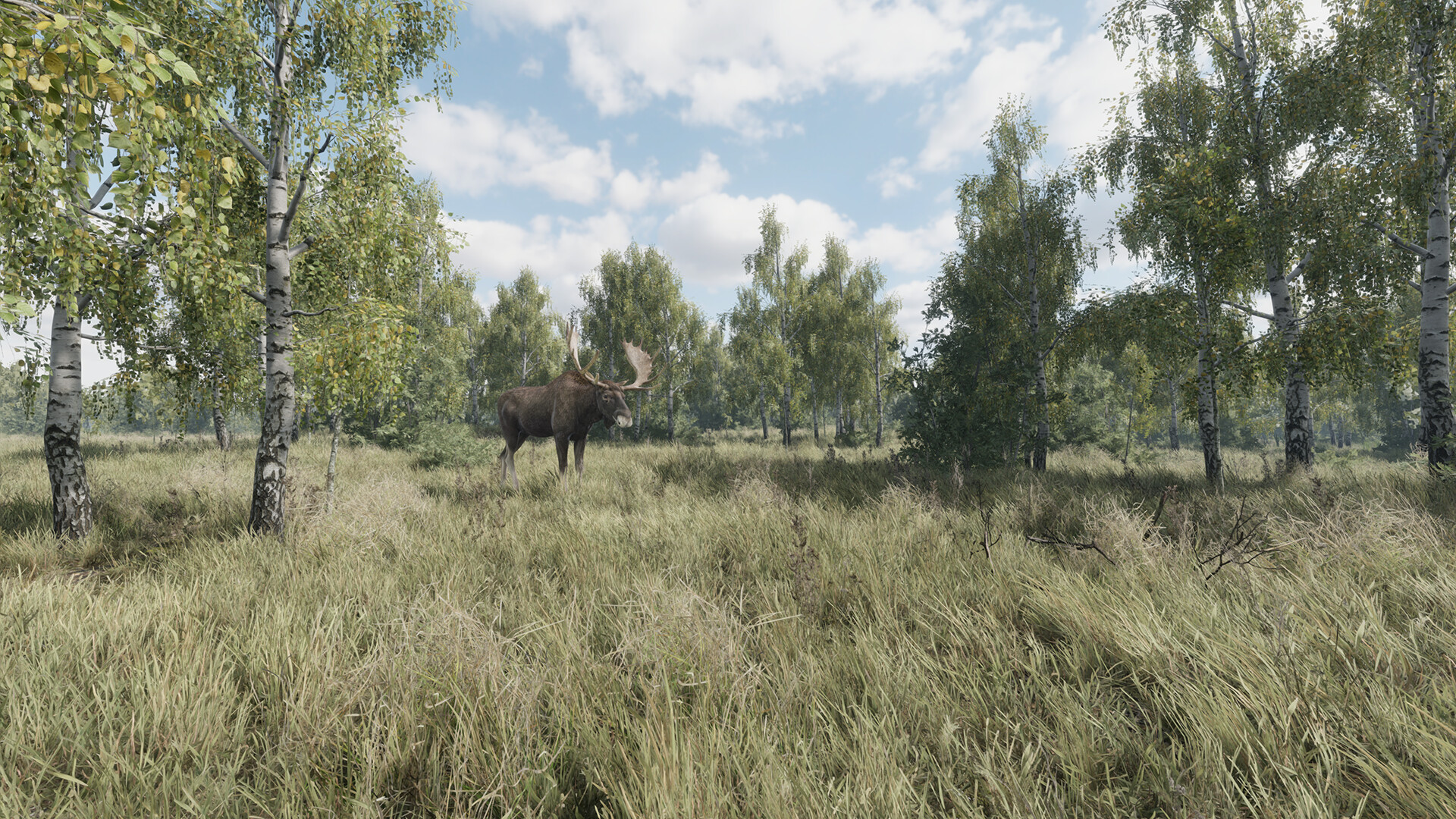 猎捕行动/On the Hunt_菜菜笔记