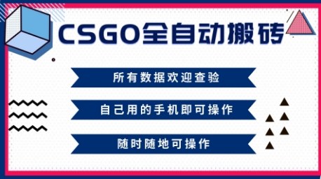 CSGO全自动搬砖，年底钱回家好项目，当天可拿到结果，新手小白轻松月入1W+【揭秘】_菜菜笔记